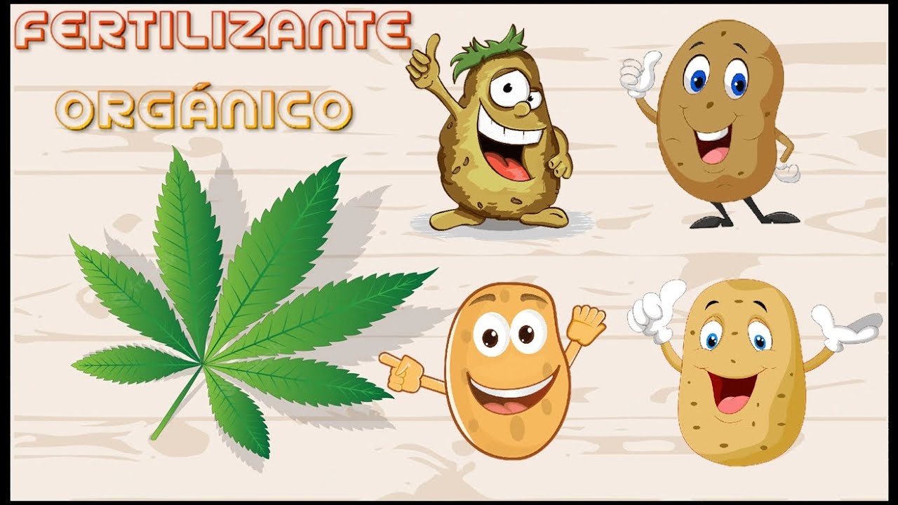 FERTILIZANTE CASERO PARA CRECIMIENTO #2 | YOIDI GANJAH ZONE