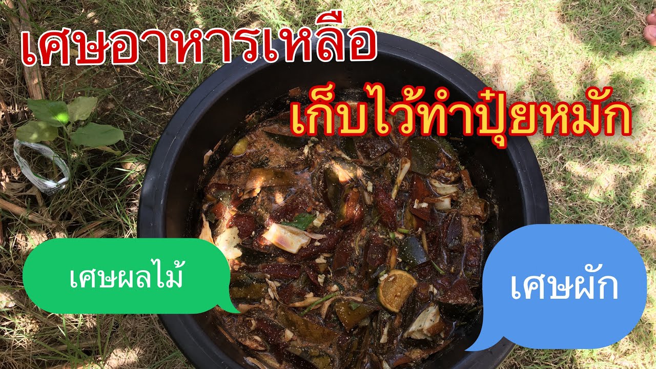 ทำปุ๋ยหมักจากเศษอาหารที่เหลือจากการบริโภคภายในครัวเรือน