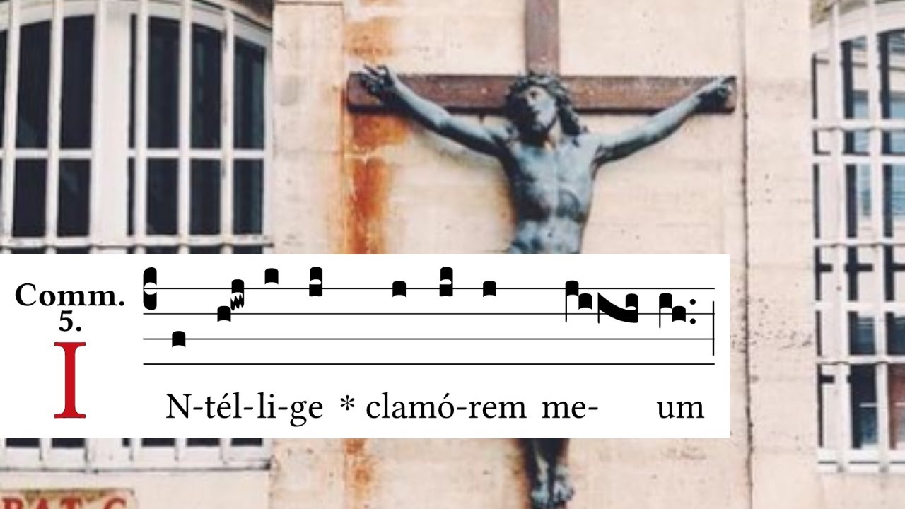 Second Sunday in Lent - Communion - Intellige clamorem