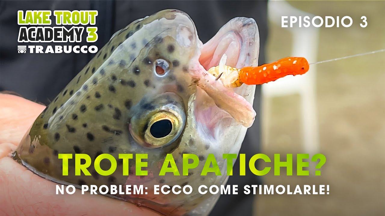 Pescare TROTA LAGO: ECCO COME stimolare le TROTE apatiche!  LAKE TROUT Academy S3E3@trabuccofishing