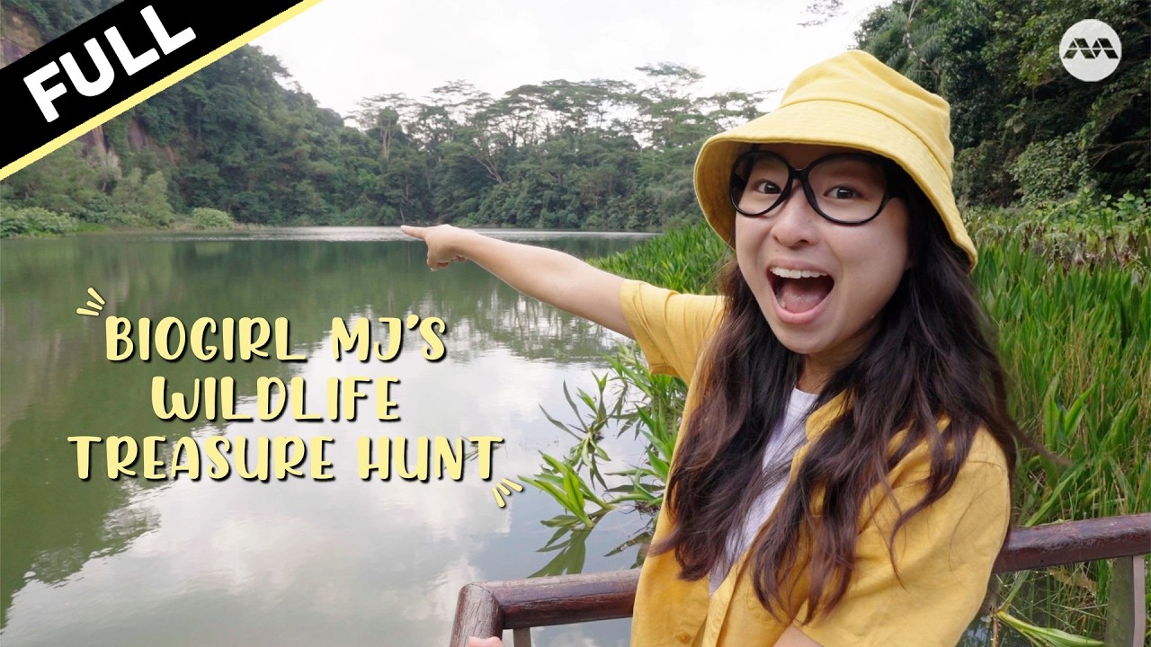 【FULL】 What Wildlife Can You Spot at Singapore's Mandai?! 🐒🦋🐦 | BioGirl MJ Season 1 #marathon
