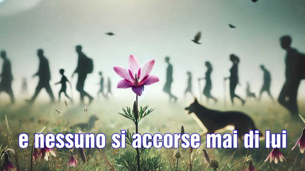 Giosy CENTO - IL FIORE (Album: PADRE CARITA' e PERFETTA LETIZIA - Laetitia Amoris)
