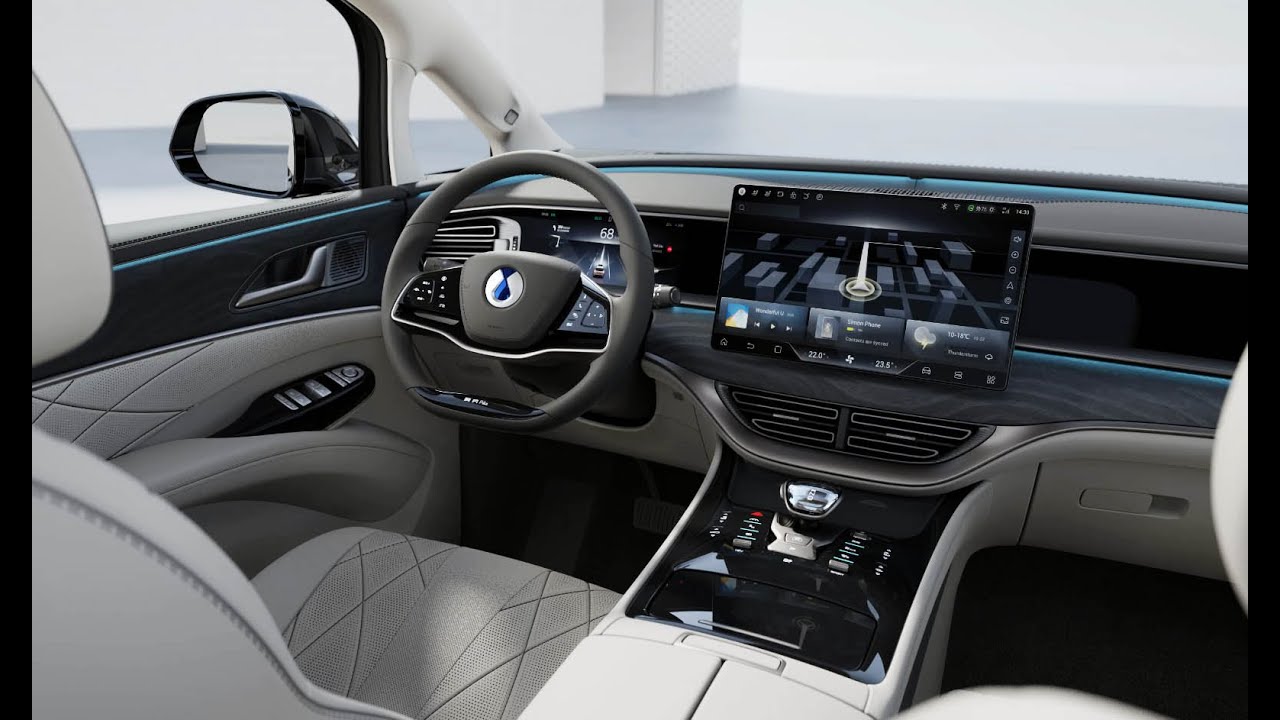 Footage _BYD Denza D9 interior
