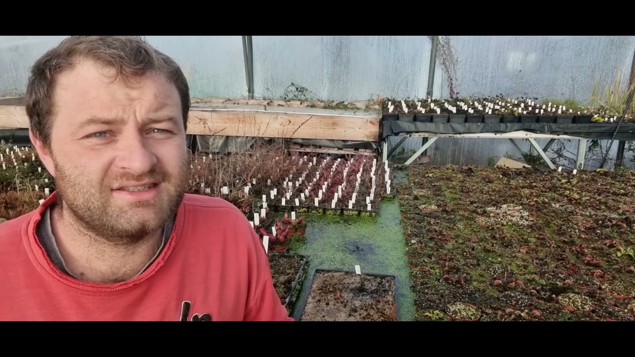 Un allier pour vos carnivores