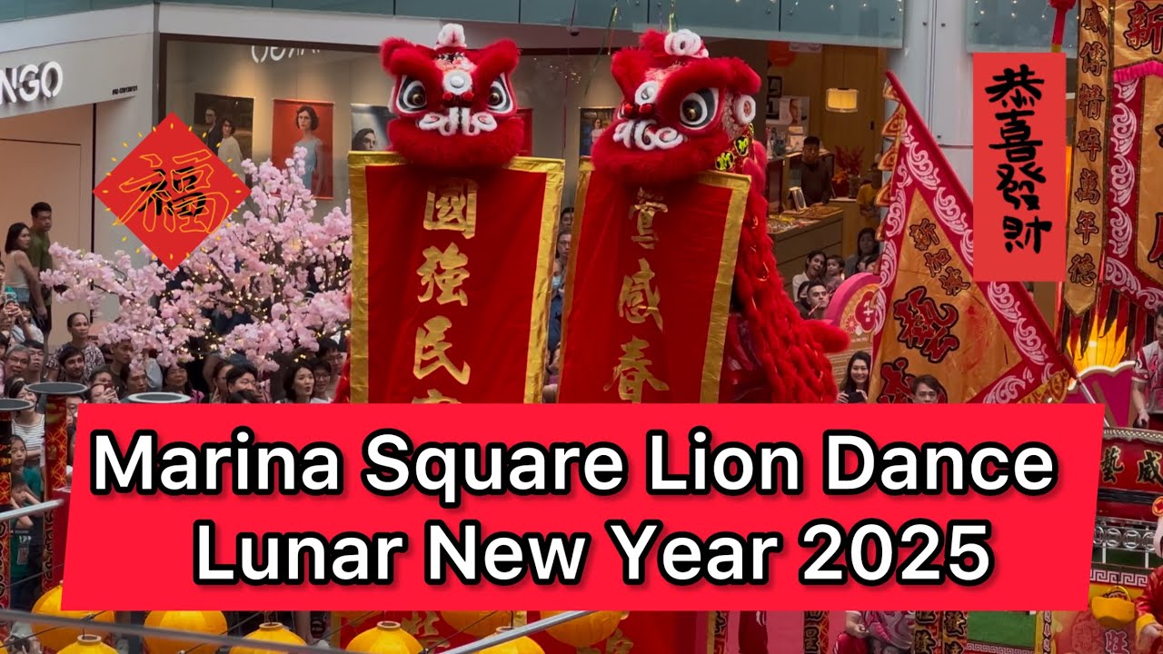 LION DANCE 2025  Duo Acrobatic  Lion Dance Performance Marina Square Lunar New Year