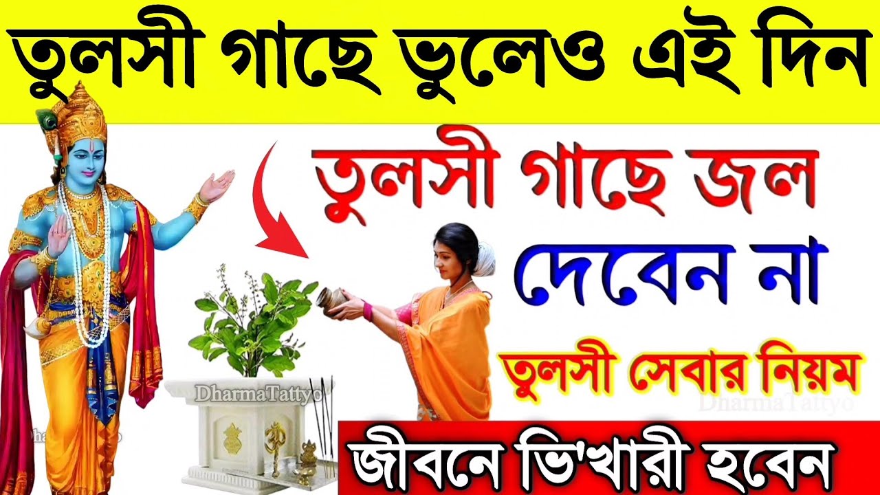 ফাল্গুন মাসে তুলসী গাছে এই দিনে ভুলেও জল দিবেন না তুলসী সেবার নিয়ম | Tulsi Plant Care Tips