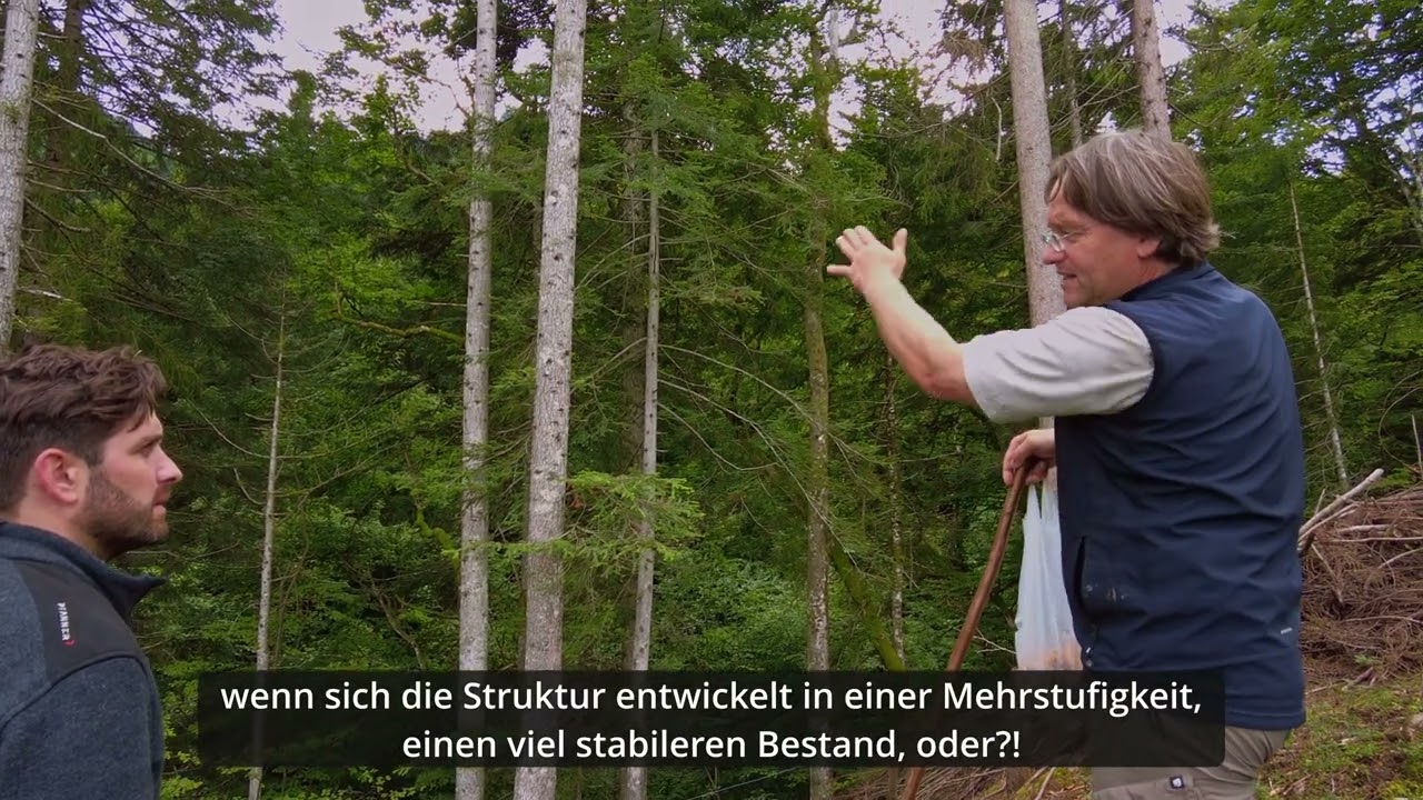 Folge 17 Der Waldrand - Freipflegen der Übergangsbereiche