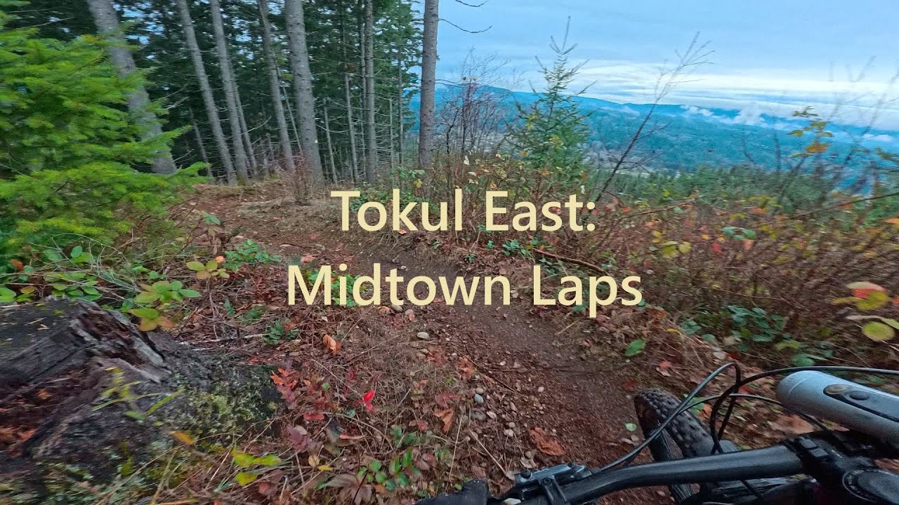 Tokul East: Midtown x 2