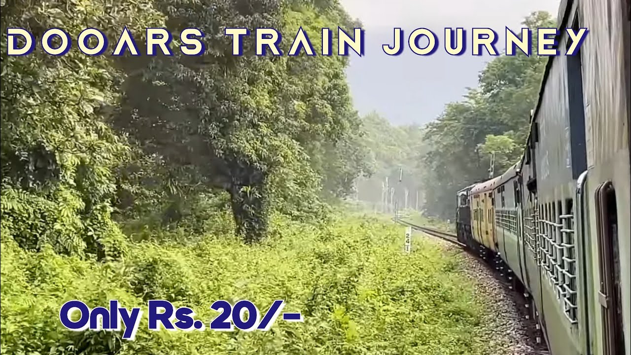 Dooars Tour |Siliguri to Lataguri Local Train Journey| 07525 Demu local train| Dooars Train Journey