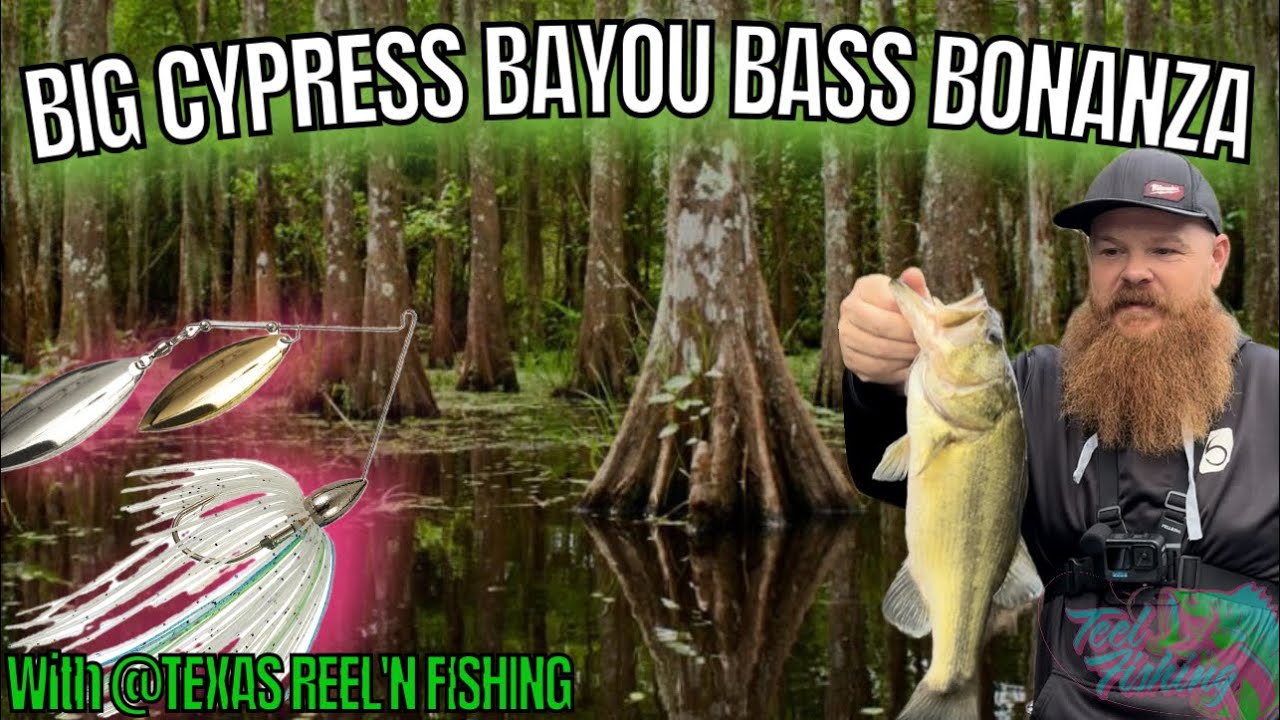 Bayou Bass Bonanza: Landing Giants with a Finesse Spinner Bait