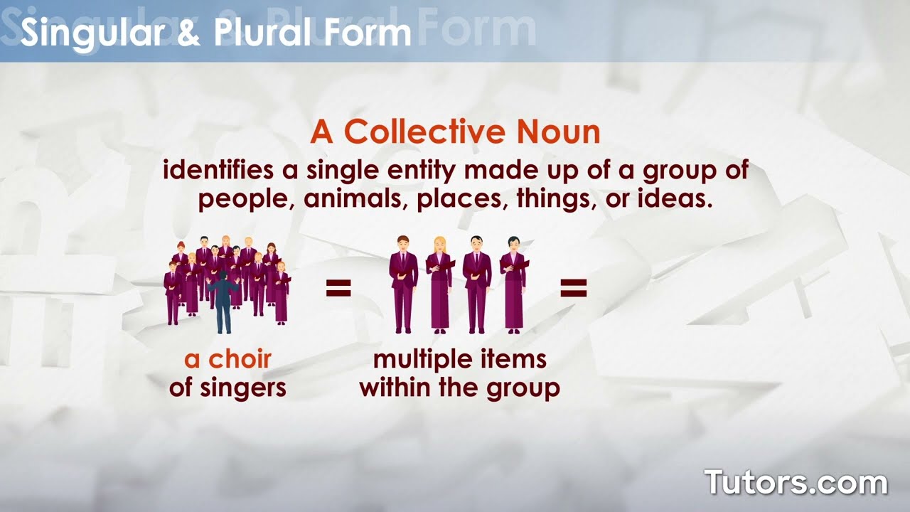 Collective Nouns | Definition and Examples