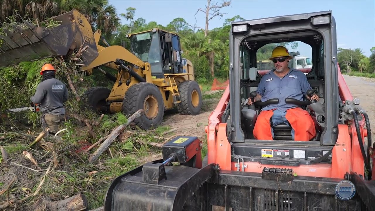 September 2025: A Day at the Office - Tree Crew