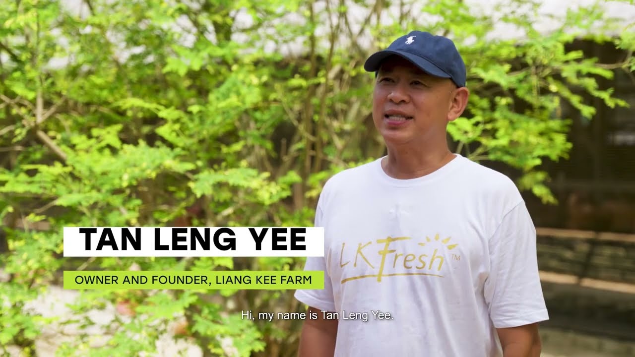 SECAI MARCHE: Farmer Story - Fresh Malaysian Eggs, Farm to Chef (LK Fresh Farm)