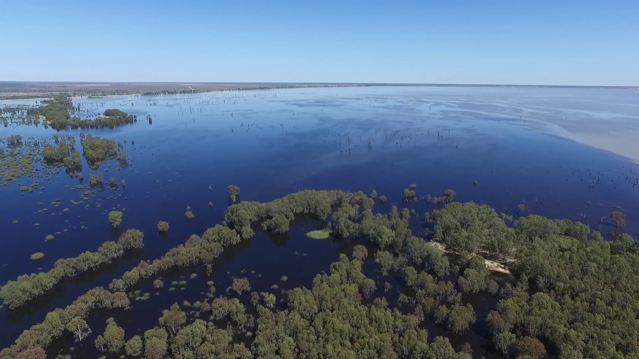 Lake Victoria blackwater drone footage