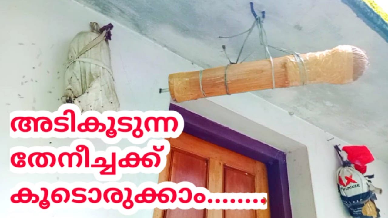 How to make stingless bee's trap |  അടികൂടുന്ന തേനീച്ചയെ കാലികൂട് വെച്ച് സ്വന്തമാക്കാം