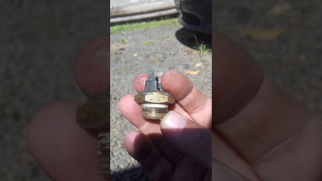 Vectra válvula e cebolao veja