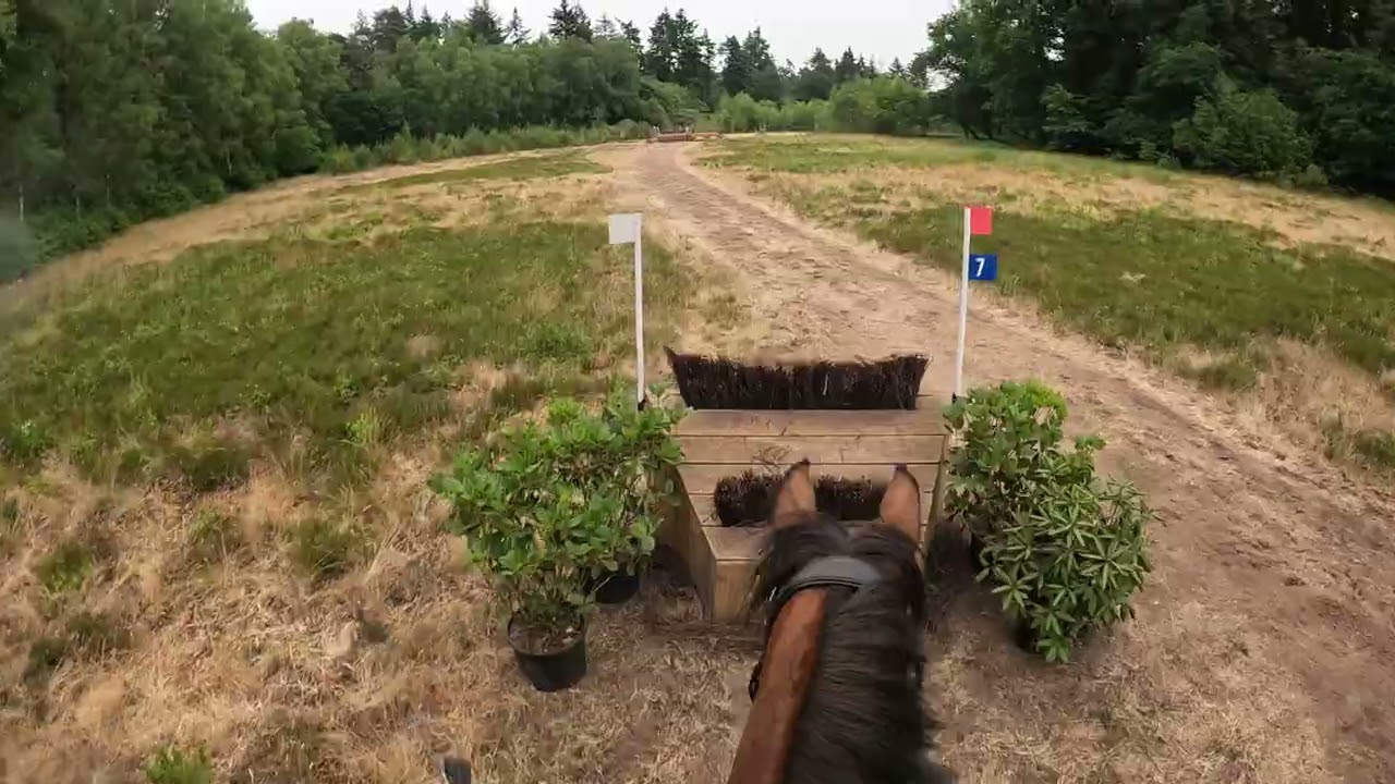 SGW Ede Putten, L paarden 2023