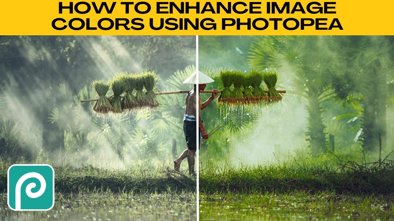 How to ENHANCE COLOR in Images Using Photopea (Increase Vibrance)