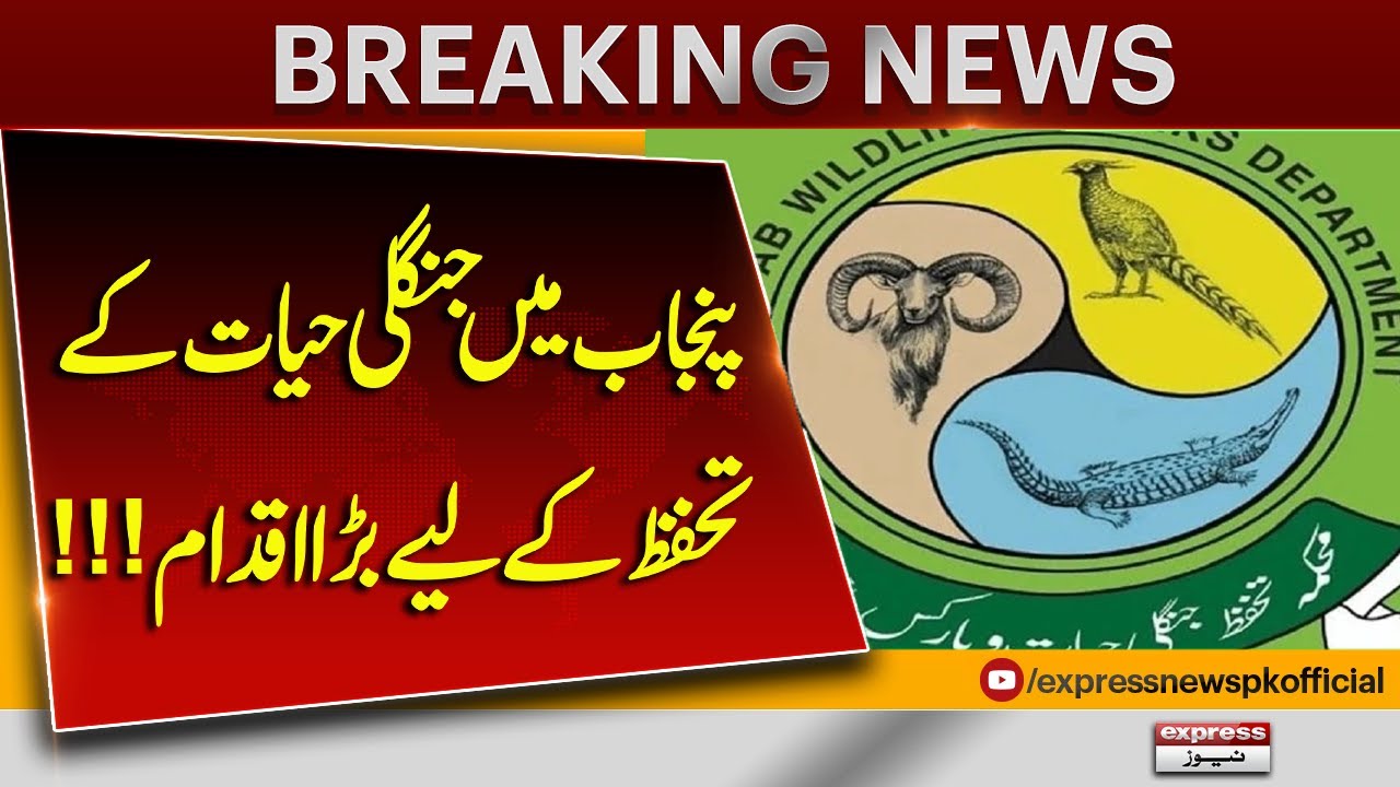 Punjab Takes Major Step for Wildlife Protection | Latest News | Breaking News | Pakistan News