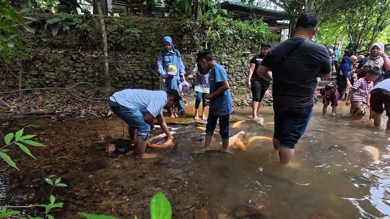 Fish feeding