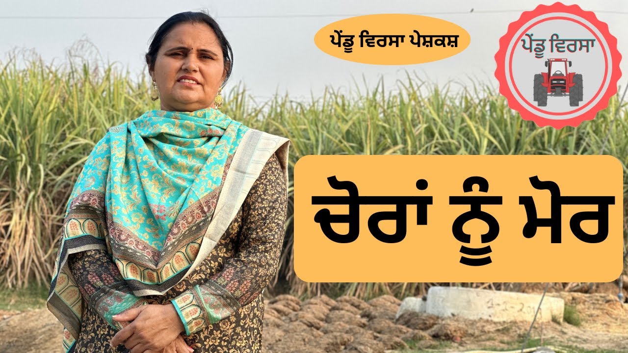 ਚੋਰਾਂ ਨੂੰ ਮੋਰ ep126 | Pendu virsa | new punjabi movie 2023 | new Punjabi short Film | Mansa |