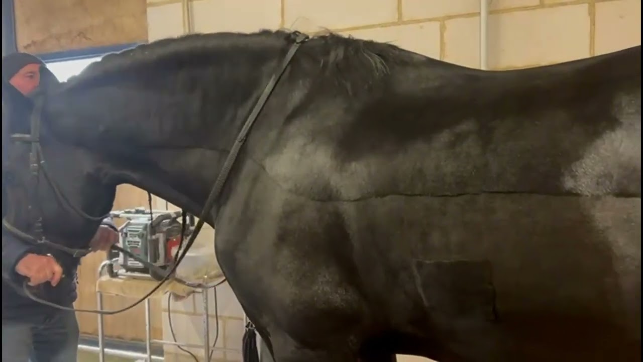 Haras du Graffard - présentation des stages