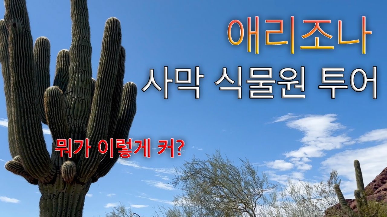 애리조나 사막식물원 (Desert Botanical Garden) 투어