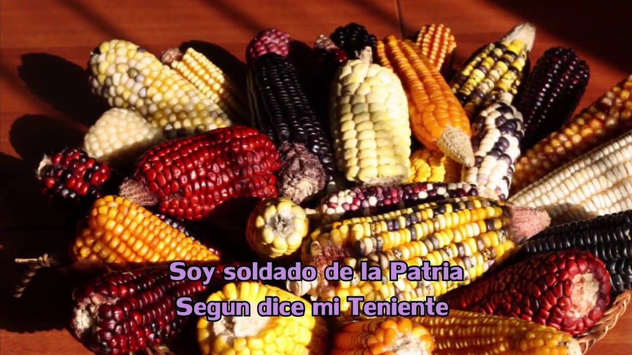 Soldadito De La Patria - Jorge Velosa | Carranga | Video Letra