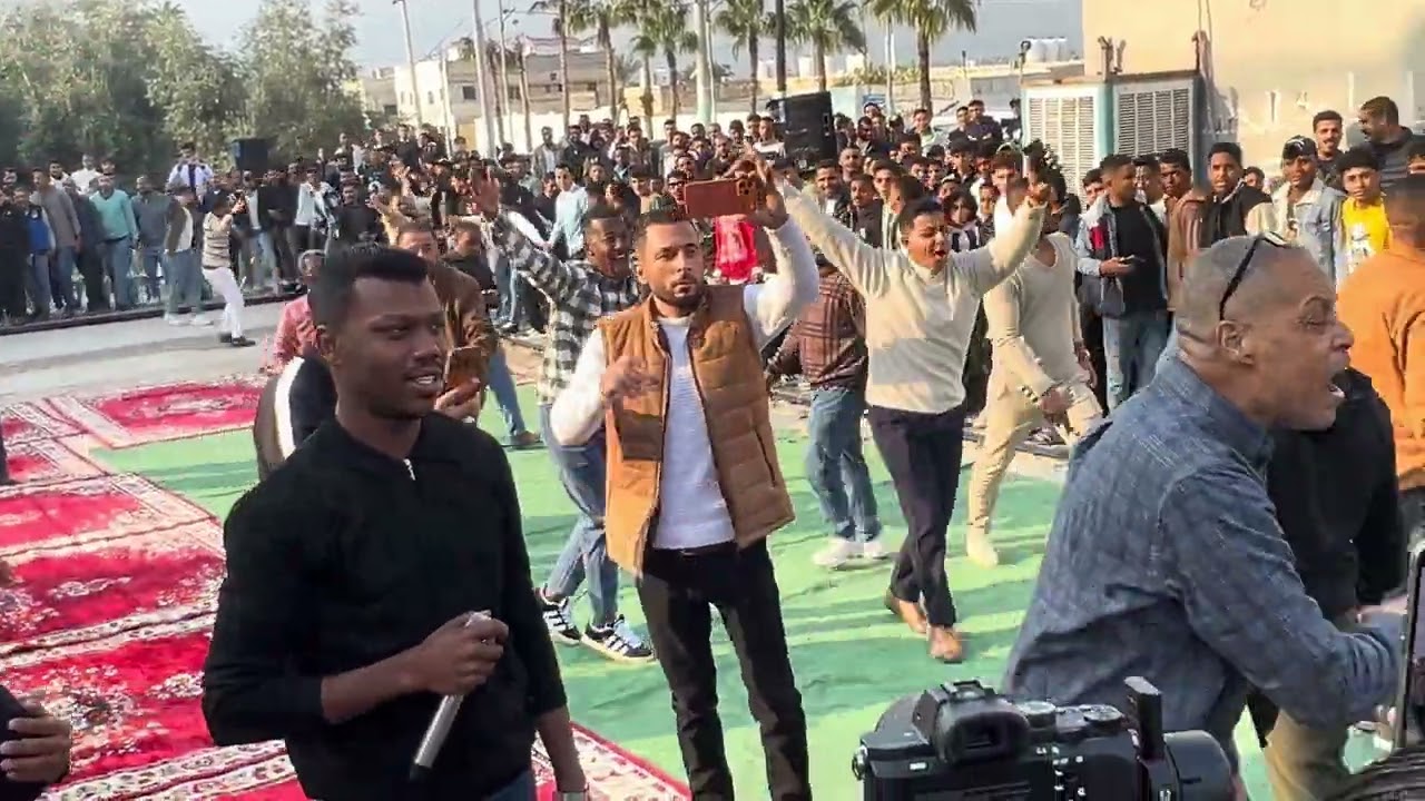 #عمار_ابو_غليون  #مجوز  