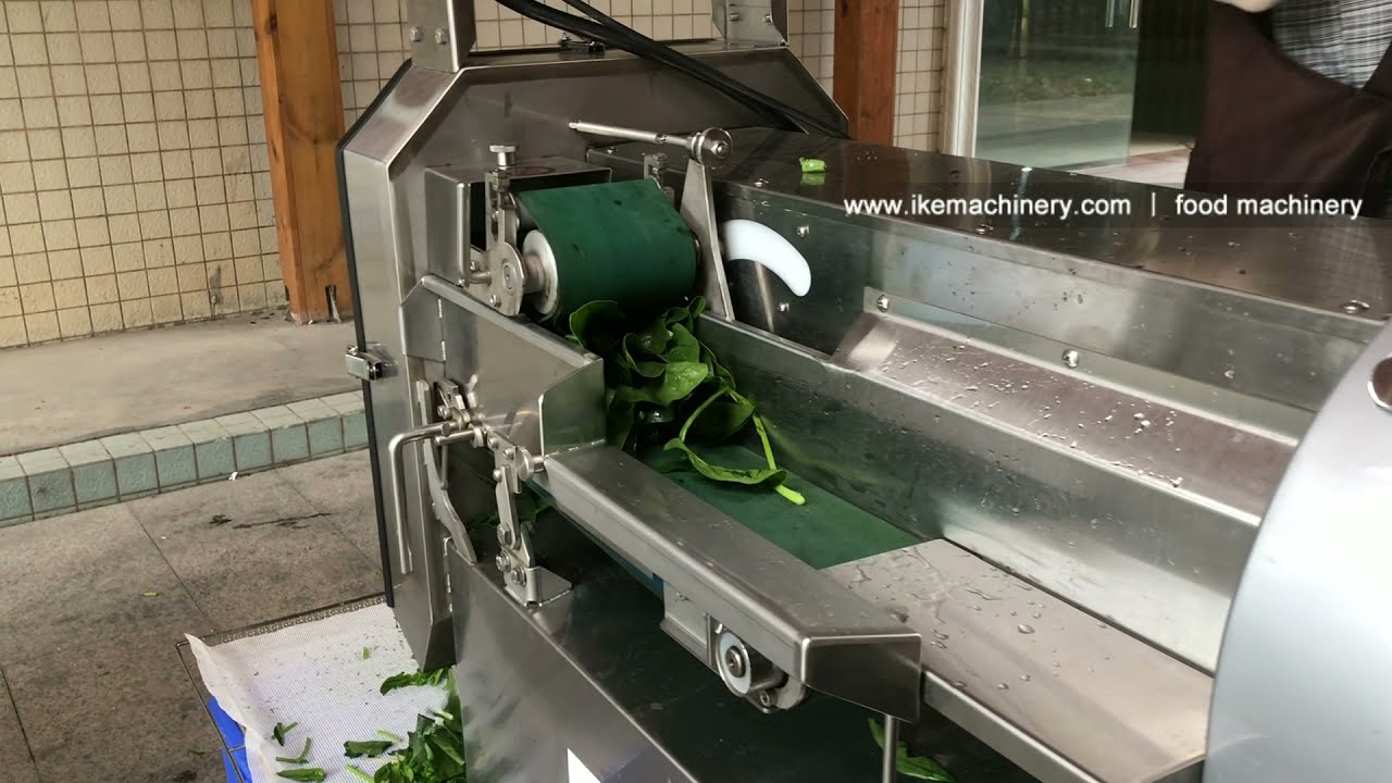 Spinach cutting machine
