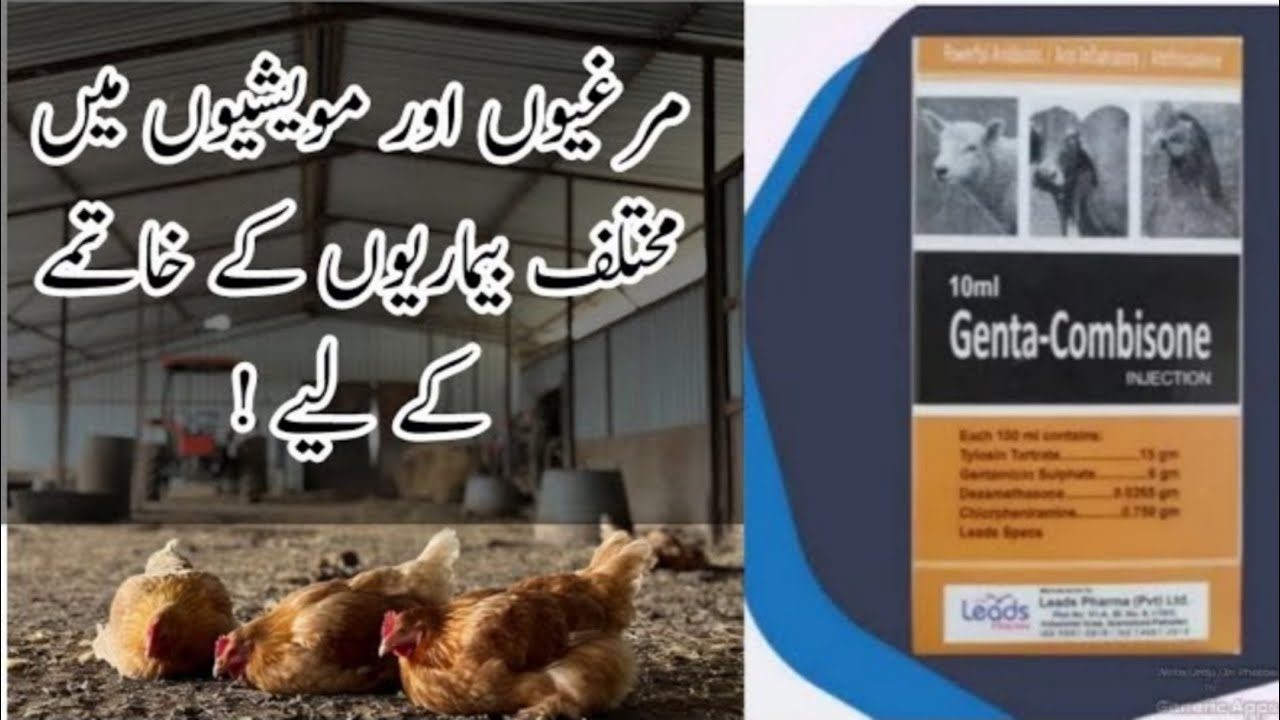 Genta Combisone | Injection | Uses | Gentamicin Tylosin | Dexamethasone | Veterinary Updates