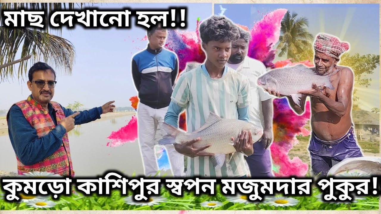 কুমড়ো কাশিপুর স্বপন মজুমদারের পুকুরে মাছ দেখানো হল|Fish Show At Swapan Majumdar Pond