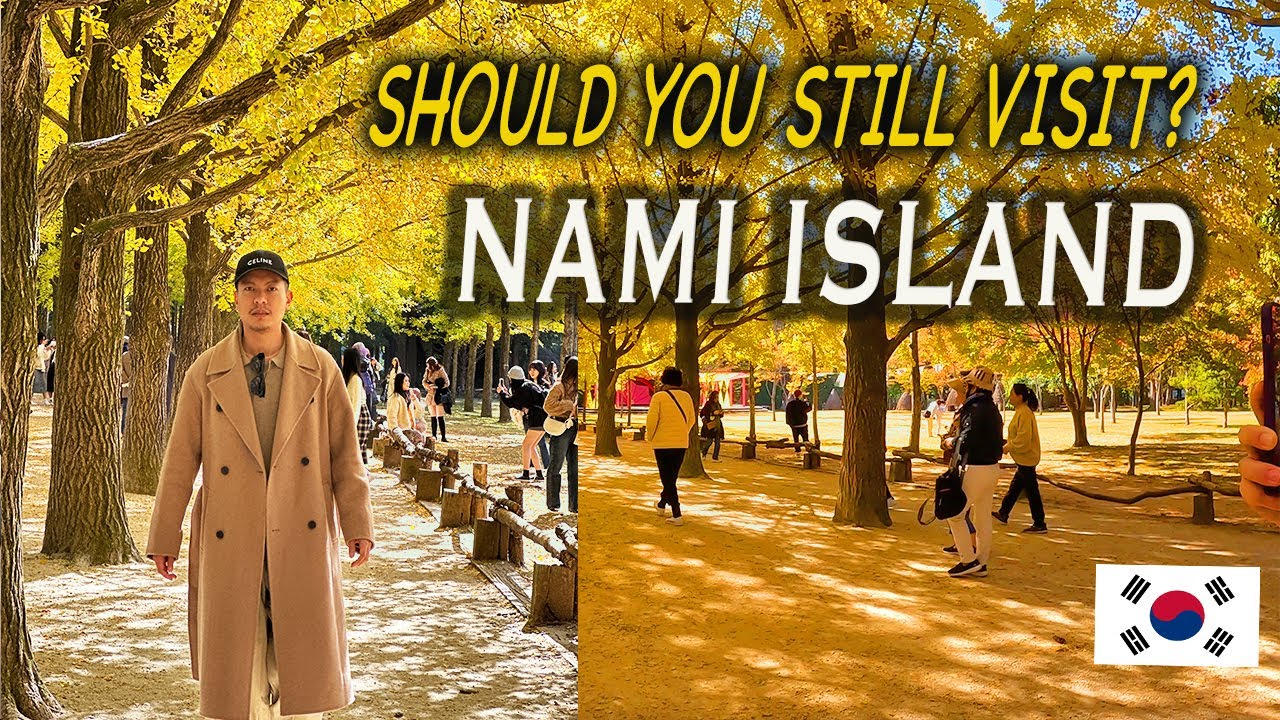 This is NAMI ISLAND now 🇰🇷 🍁 Autumn season| Is it still worth to visit? Seoul Travel Guide