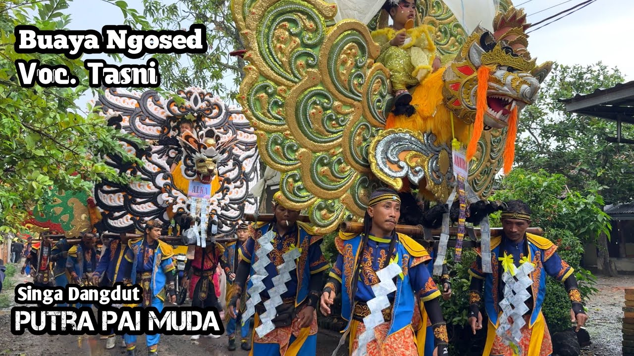 BUAYA NGOSED VOC. TASNI ❗ PUTRA PAI MUDA (PPM) || SUKATANI 1 BOGIS - ANJATAN