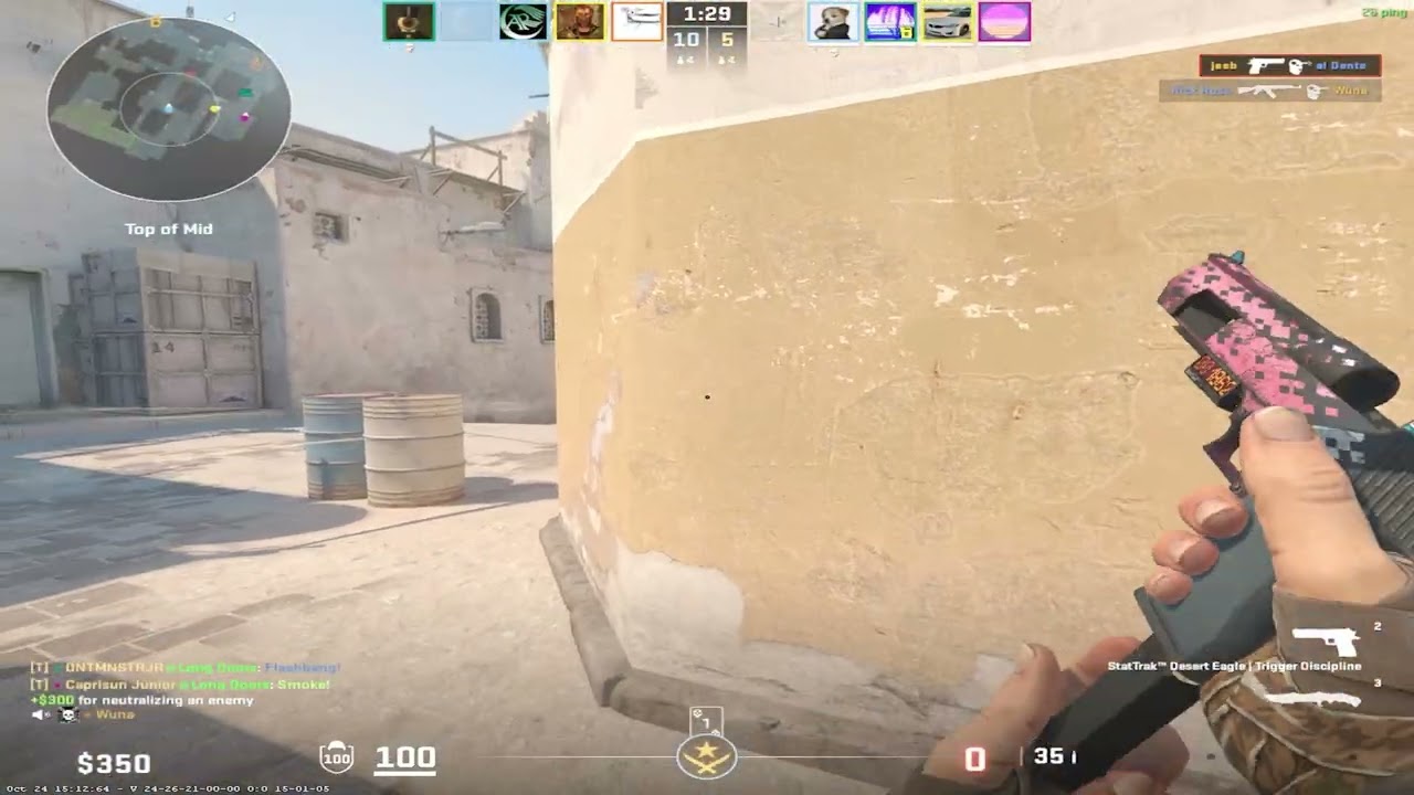 Desktop Grubbing | CS2 Moments