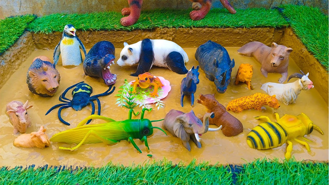 Домашние животные, насекомые, дикие и сельскохозяйственные животные | Обучающее видео для детей «...