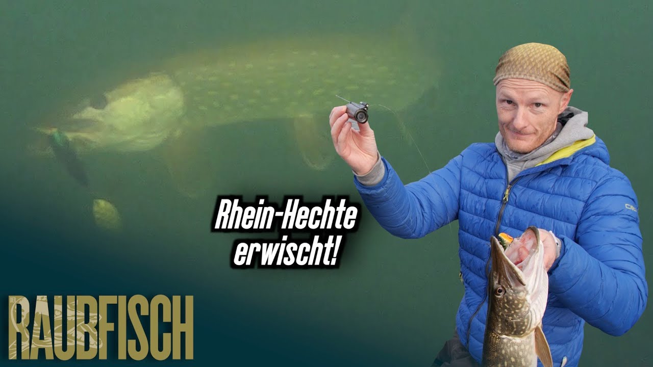 Angeln unterwasser (2): Was bei&szlig;t im Rhein-Altarm?