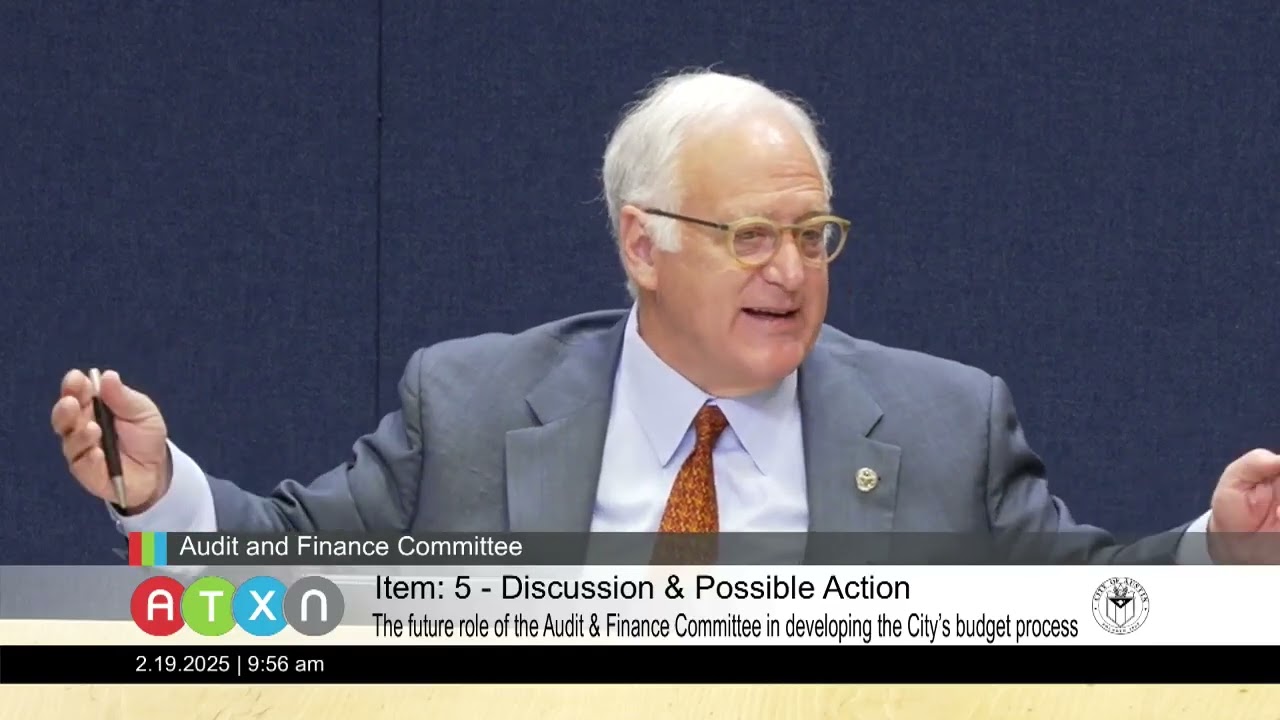 20250219audit finance budget