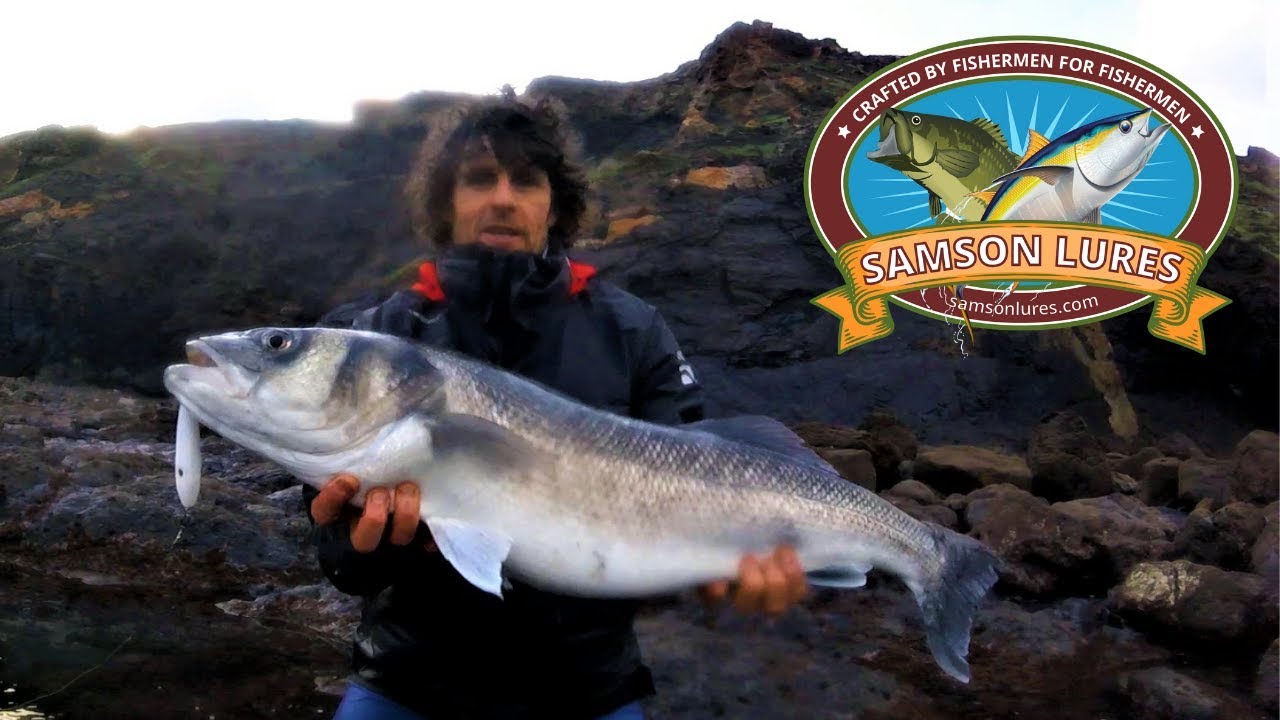 Sea Bass Lures - Differences between the Minnow and Tweak plus how to use Tips