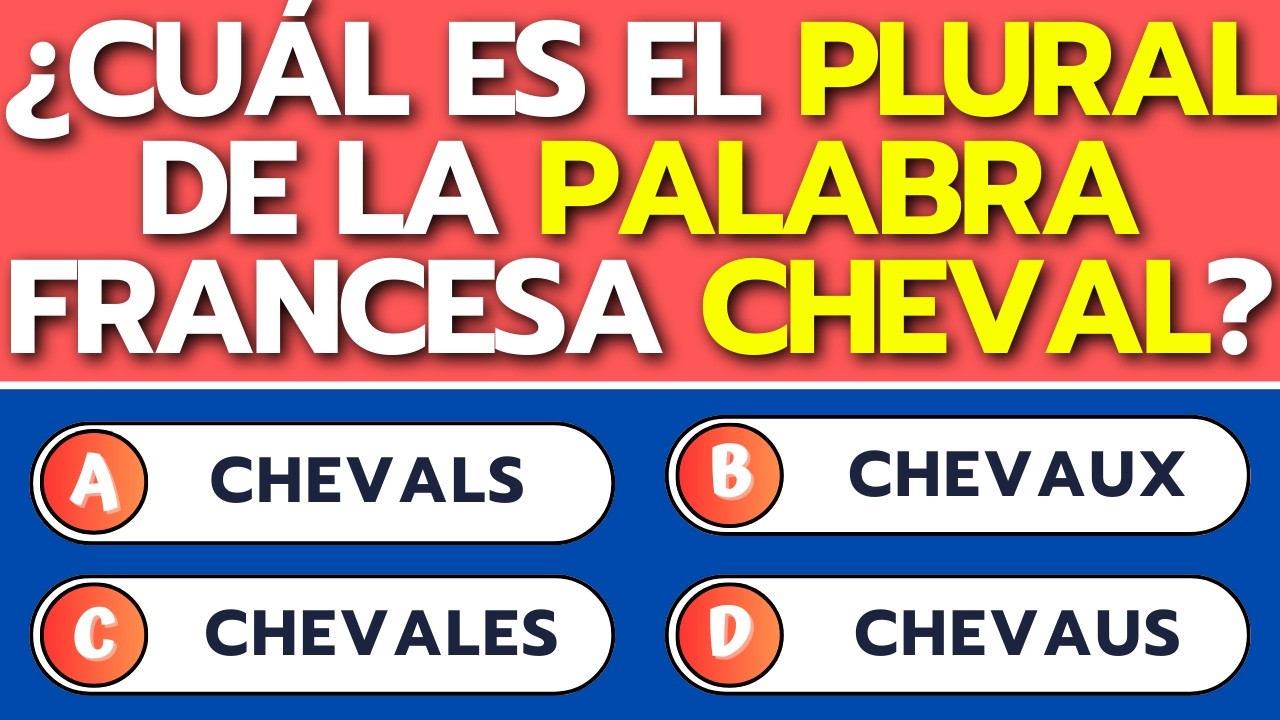 ❓ ¿Puedes acertar 40 palabras en francés? 🇫🇷