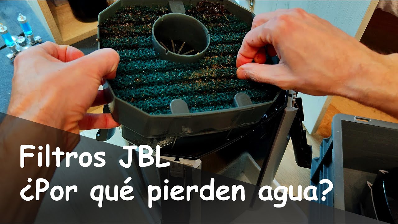 Filtros JBL ¿Por qué PIERDEN AGUA? Explicación y Consejos para un CORRECTO funcionamiento