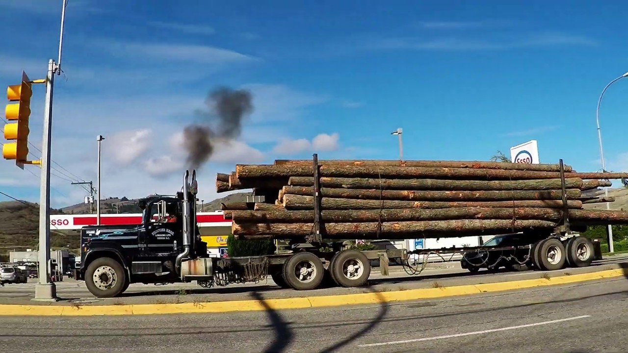 LOGGING TRUCKS #10 -- 1981 IH Transtar Eagle 4300 w/ Detroit Diesel 8v92 Silver Makes Music