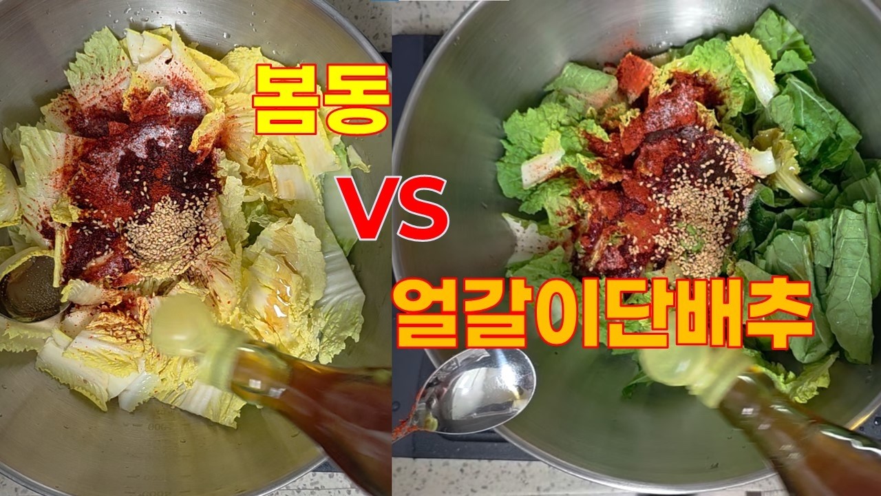 봄동 비빔밥 vs 얼갈이배추 비빔밥