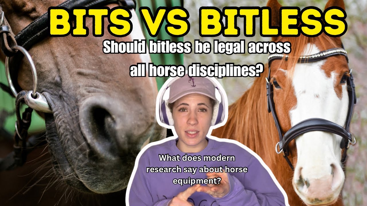 Studies on Bit Use: Should Bitless Be Legal Across All Competition?