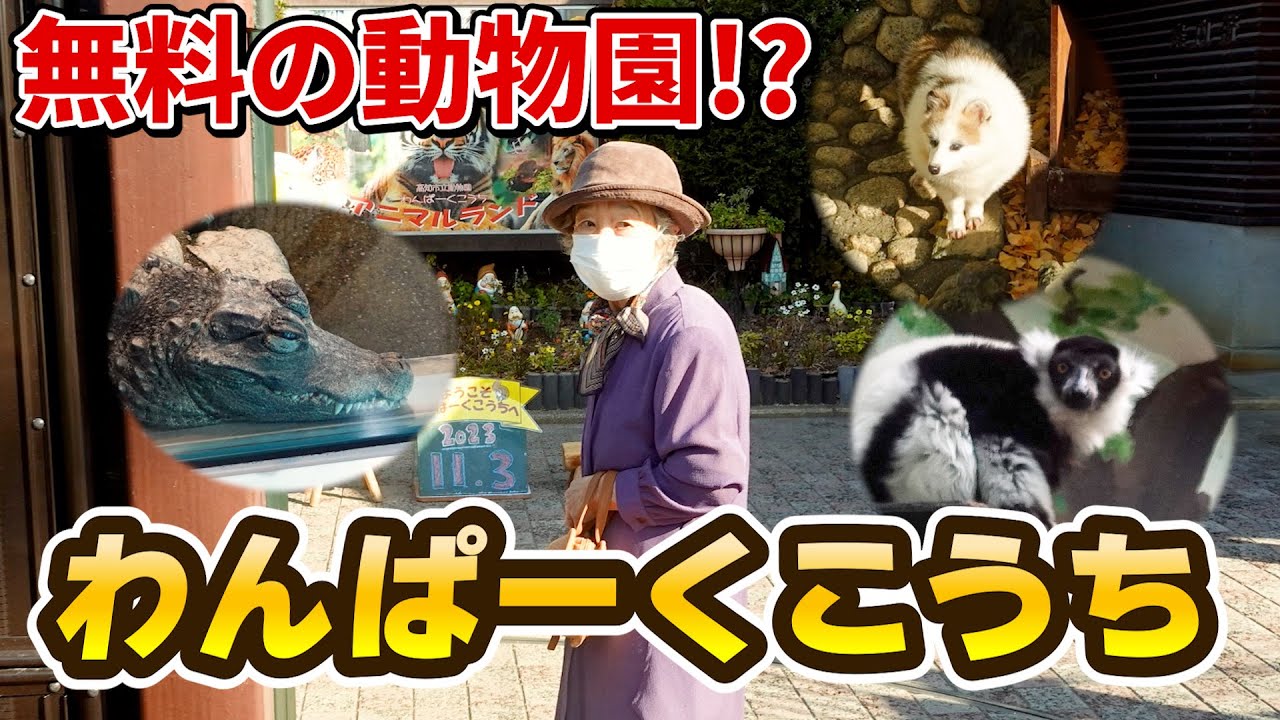 91歳ばあちゃんと無料で楽しめる動物園わんぱーく高知アニマルランドに行った。【本篇】