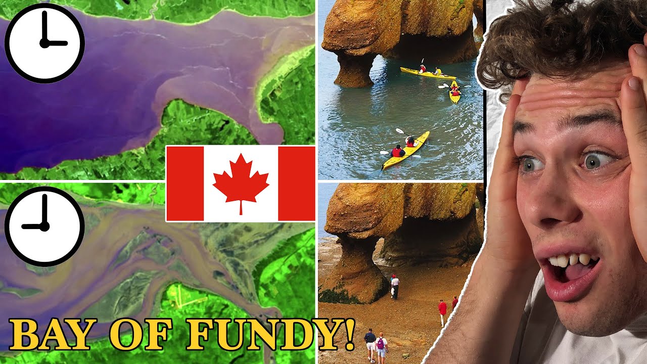 Australian Reacts To 'The Bay Of Fundy'
