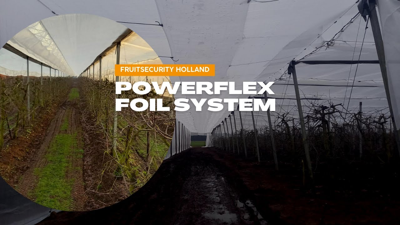 Anti-Rain System (Powerflex) with insectnet and corridor- FRUITSECURITY HOLLAND
