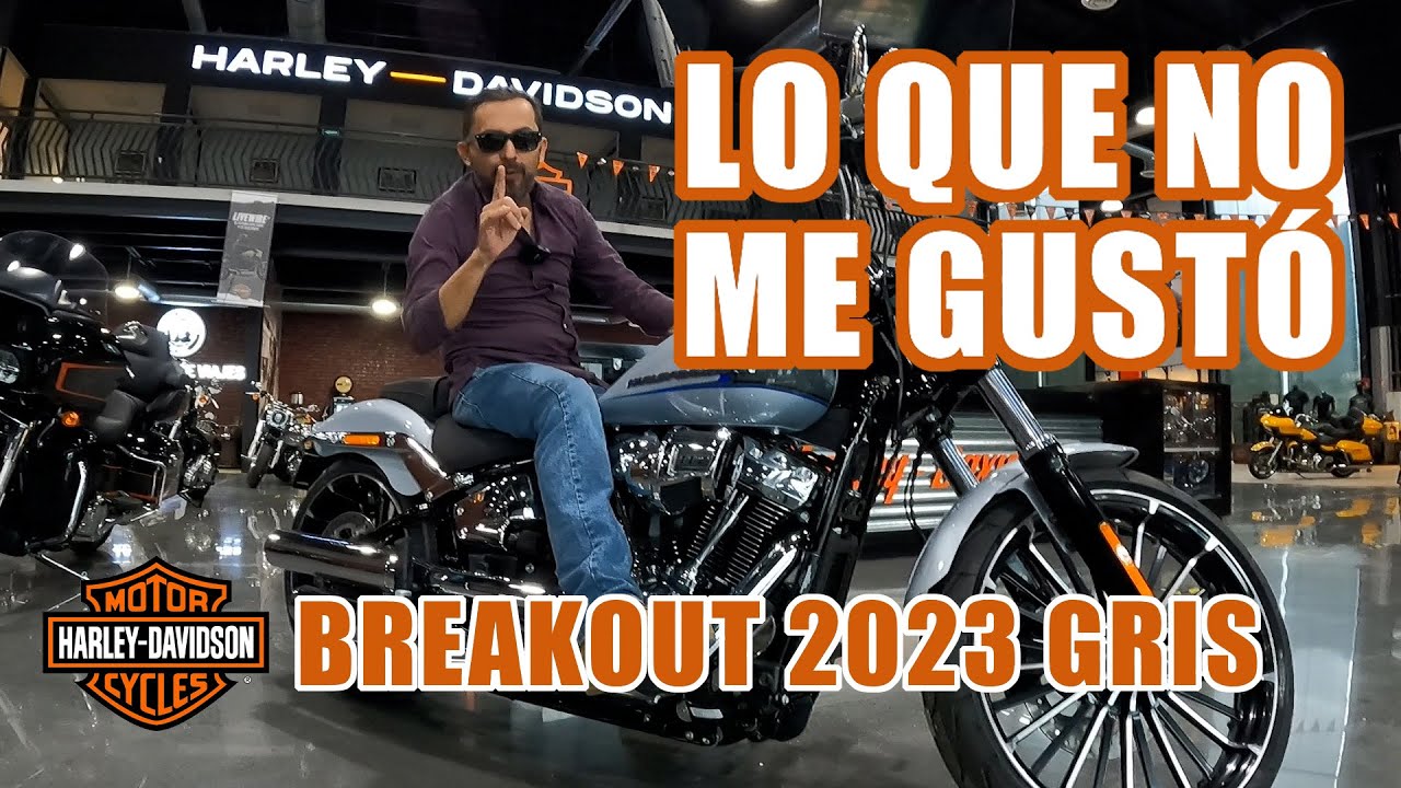 HARLEY BREAKOUT GRIS: LO QUE NO ME GUSTÓ