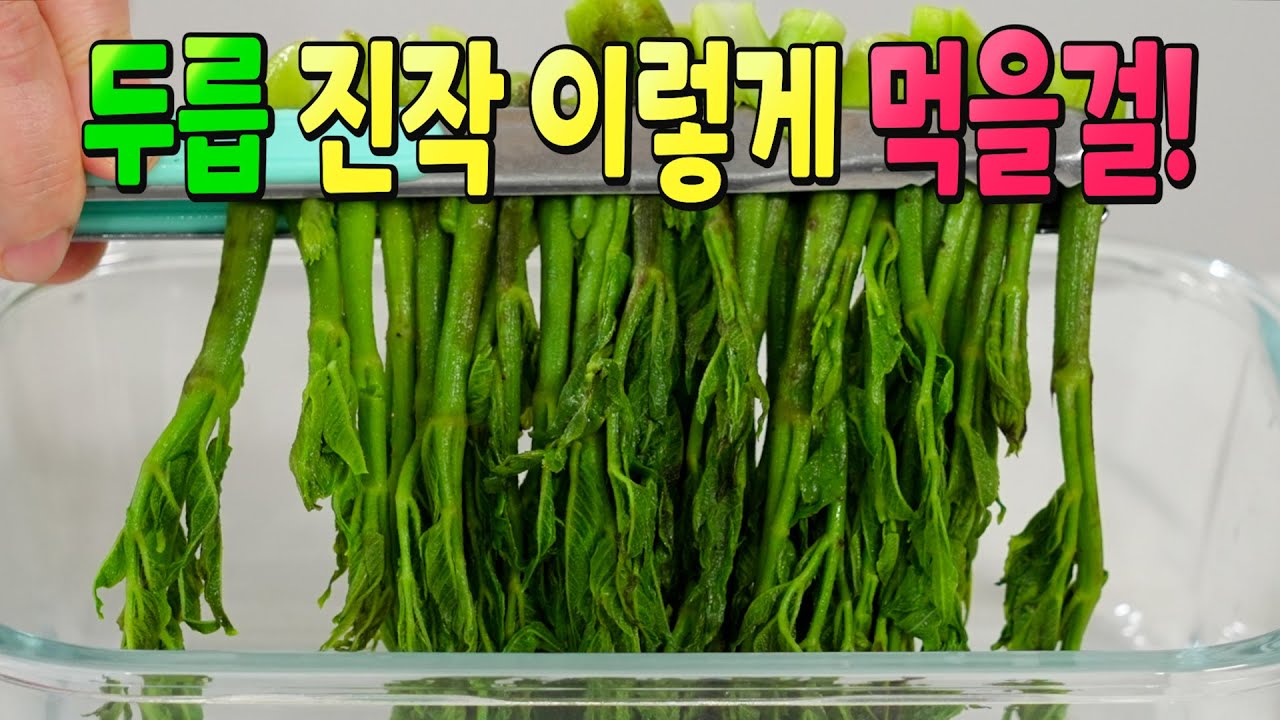 두릅 무조건 많이 사서 이렇게 해두면 1년내내 반찬걱정이 사라집니다👍 평생 요긴하게 써먹는 두릅요리