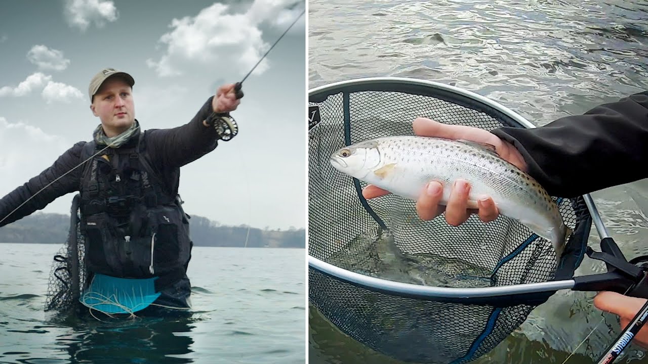 Med Fluen I Fjorden - For&aring;ret Er P&aring; Vej!